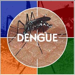 EL DENGUE